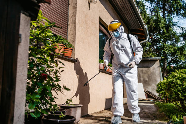 Best Insect Control  in North Fork, AZ