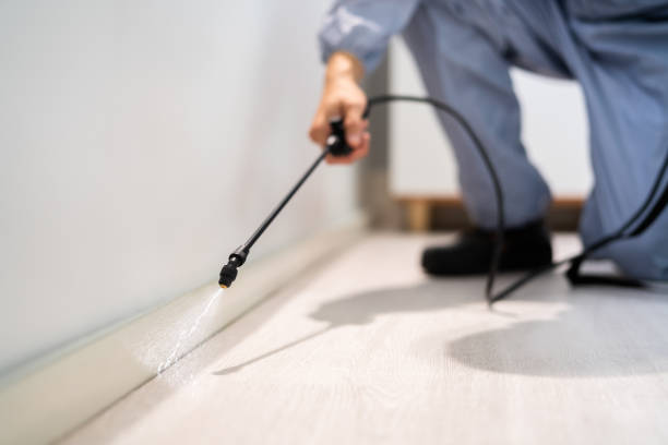 Best Pest Removal Services  in North Fork, AZ