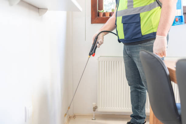 Best Pest Control Near Me  in North Fork, AZ