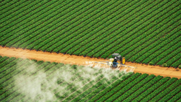 Best Mosquito Control Services  in North Fork, AZ
